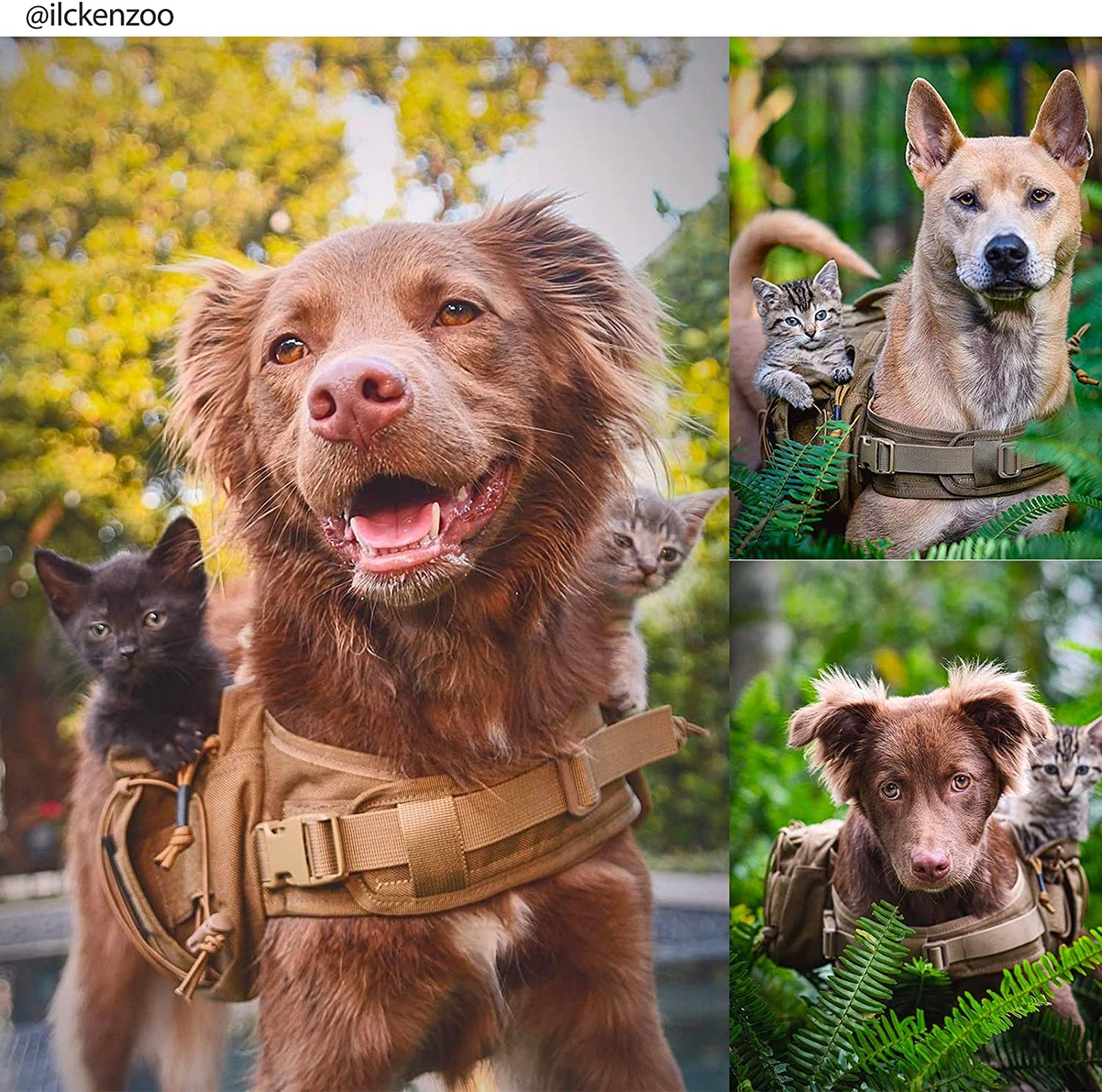 Dog Backpack for Medium & Large Dogs, Nylon Backpack for Dogs Tactical Pet Backpack with Side Pockets for Hiking Walking Training Running