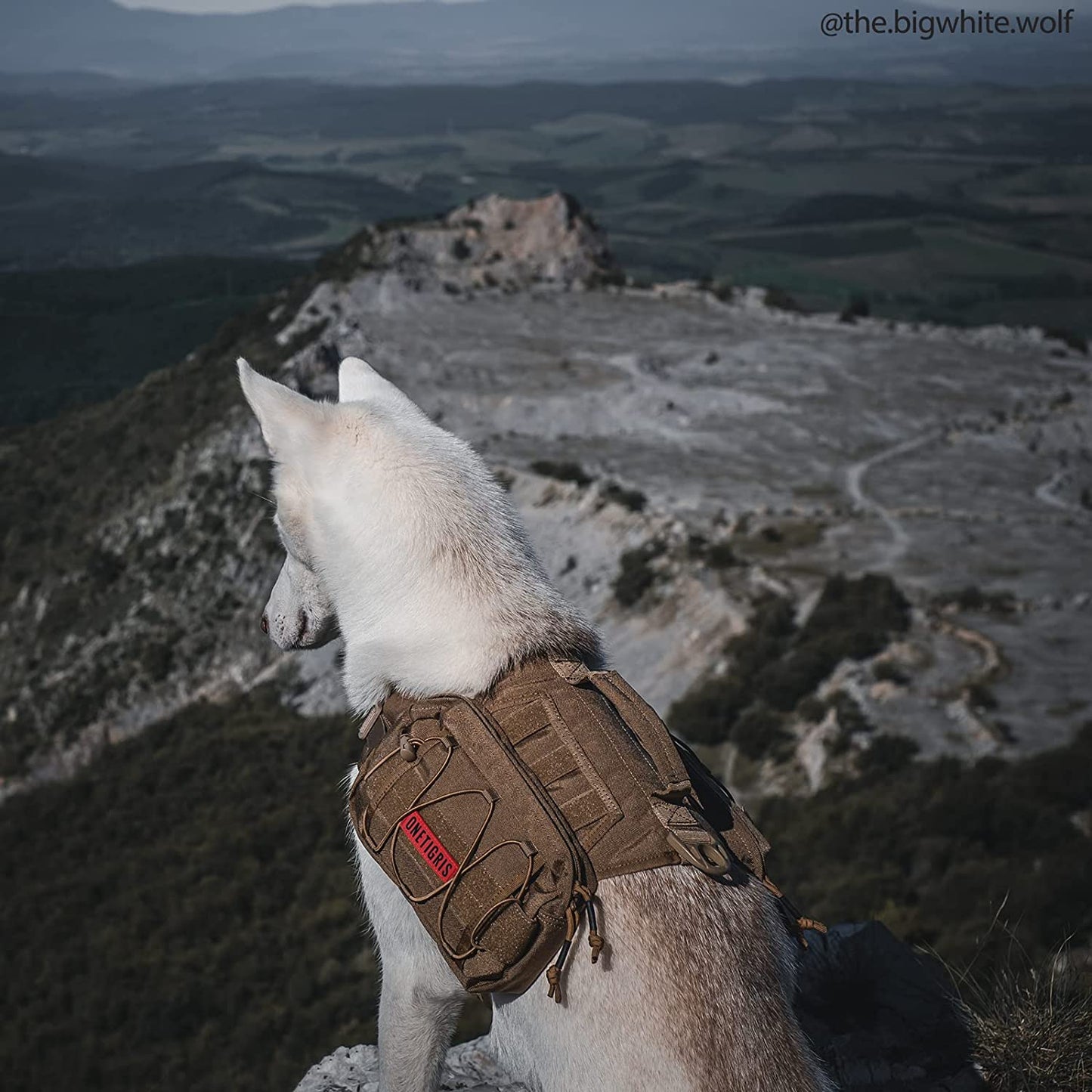 Dog Backpack for Medium & Large Dogs, Nylon Backpack for Dogs Tactical Pet Backpack with Side Pockets for Hiking Walking Training Running